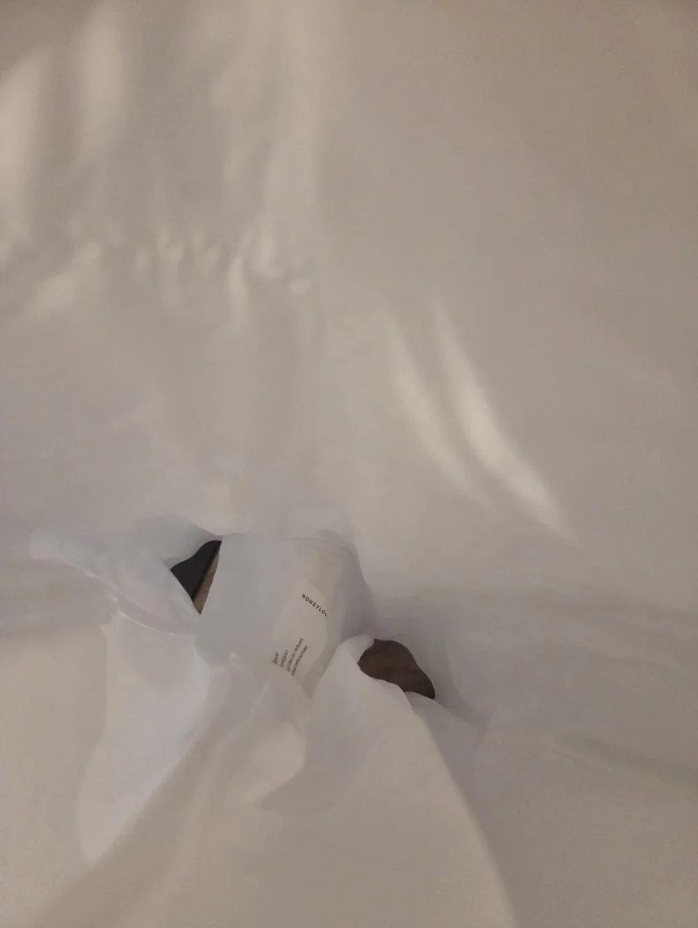 Honeylove Low Back Bodysuit (shape wear) - Picture 11 of 12
